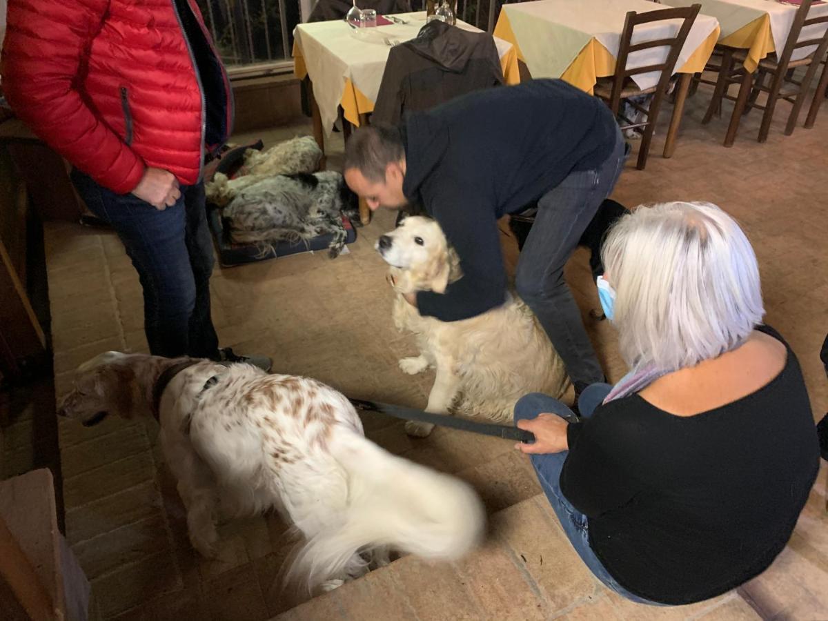 Setterhouseagrihotel Trevi Kültér fotó