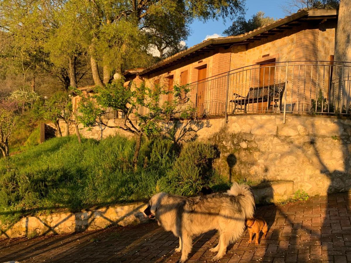 Setterhouseagrihotel Trevi Kültér fotó