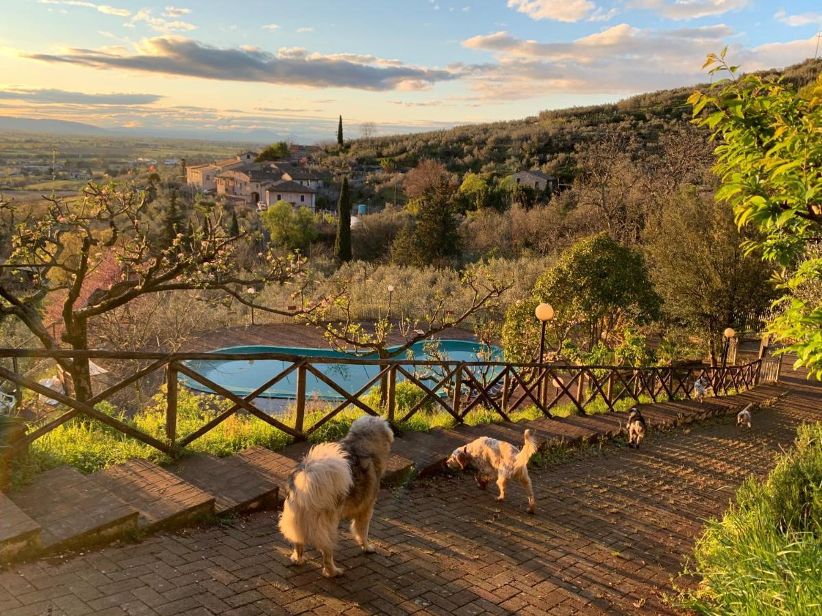 Setterhouseagrihotel Trevi Kültér fotó