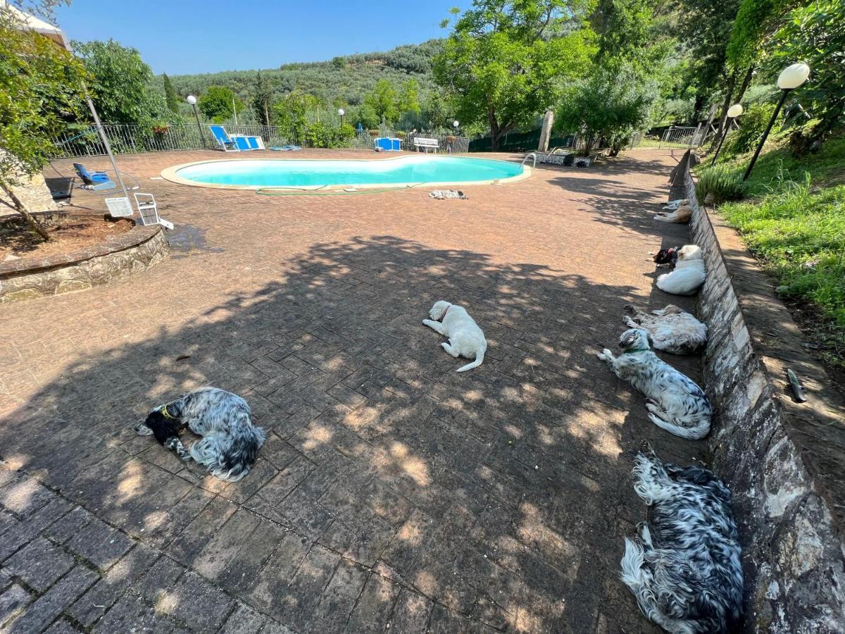 Setterhouseagrihotel Trevi Kültér fotó