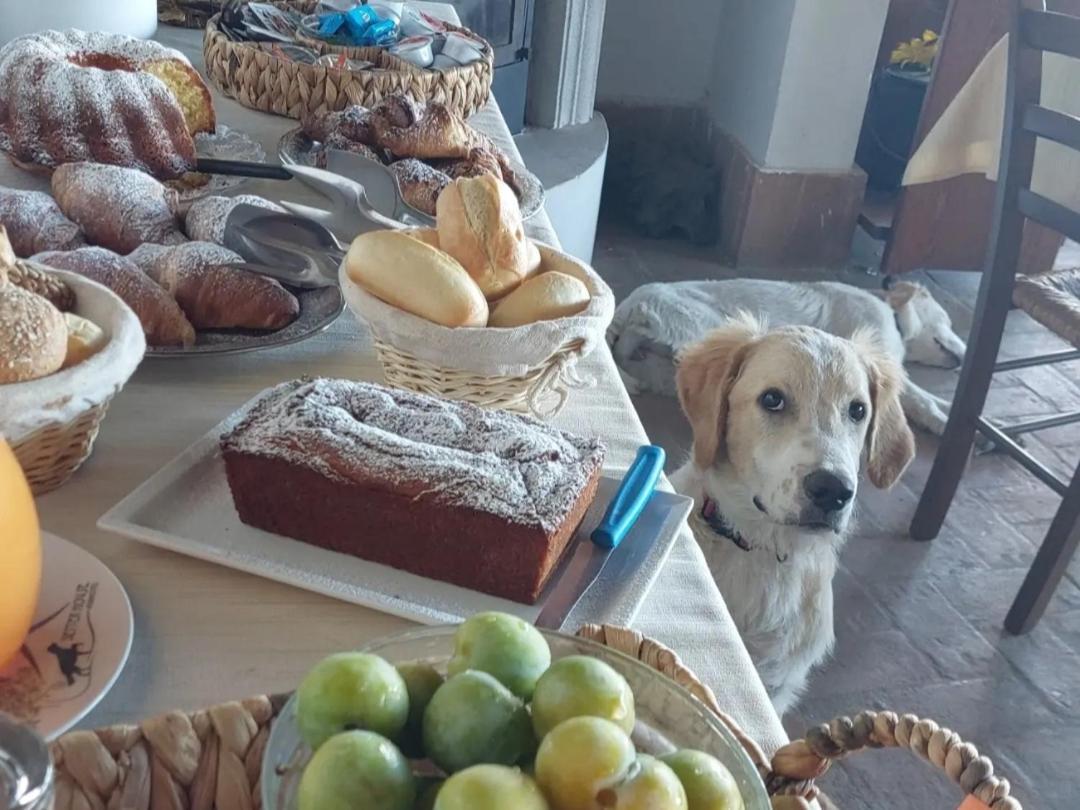Setterhouseagrihotel Trevi Kültér fotó