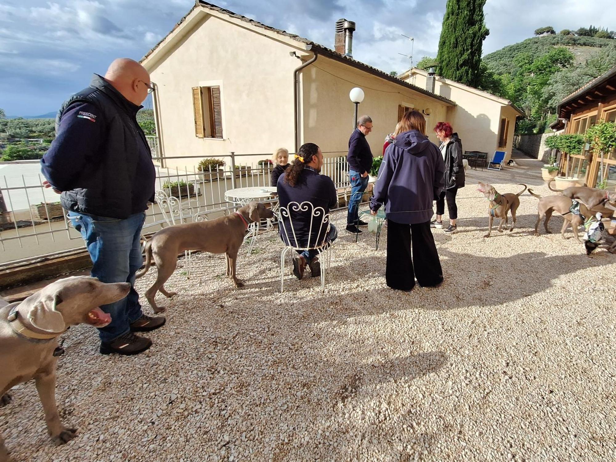 Setterhouseagrihotel Trevi Kültér fotó