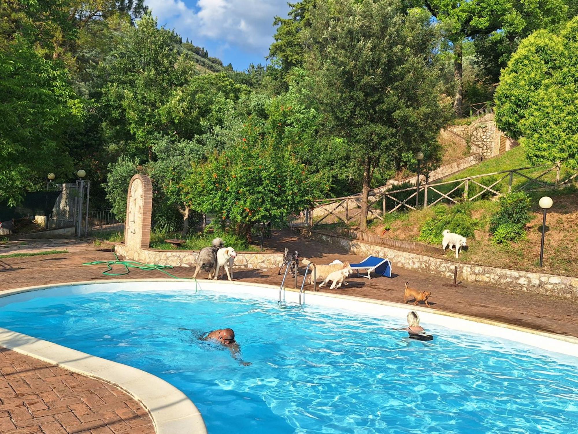 Setterhouseagrihotel Trevi Kültér fotó
