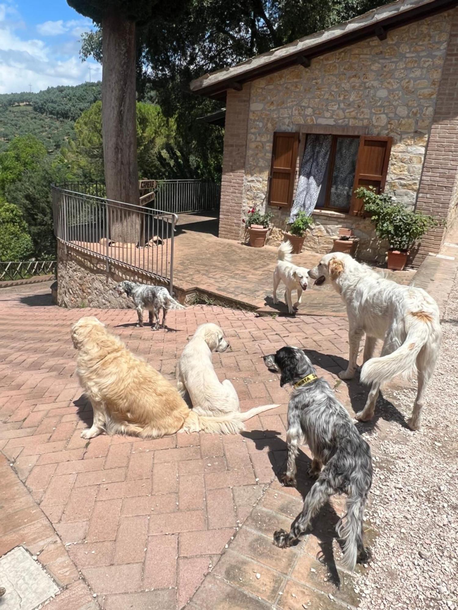 Setterhouseagrihotel Trevi Kültér fotó