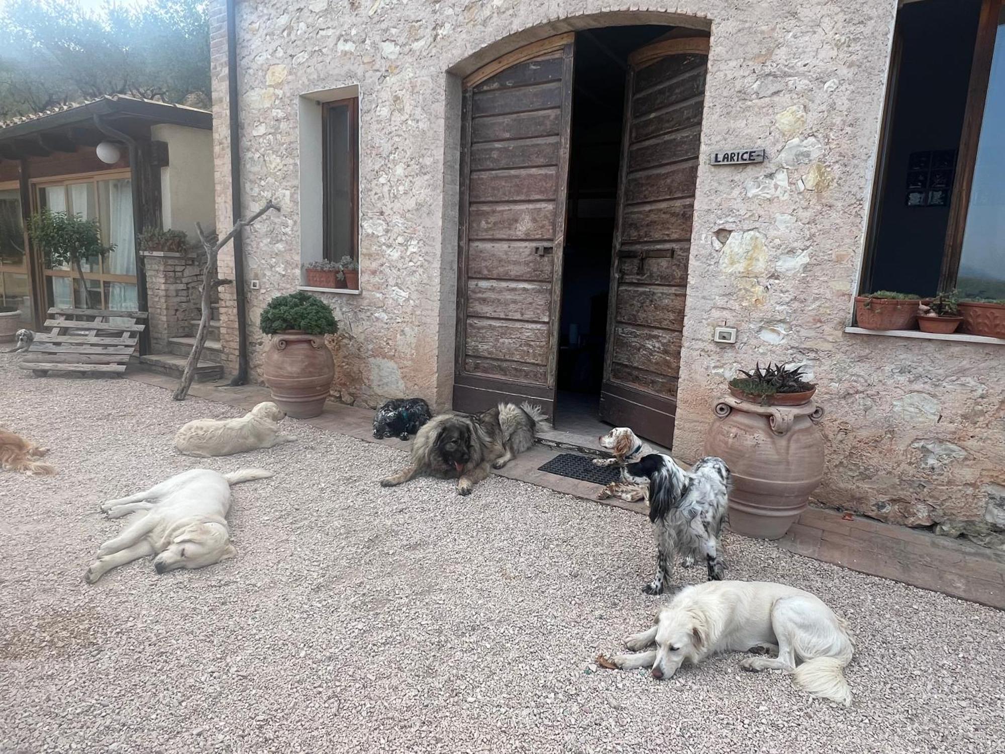 Setterhouseagrihotel Trevi Kültér fotó