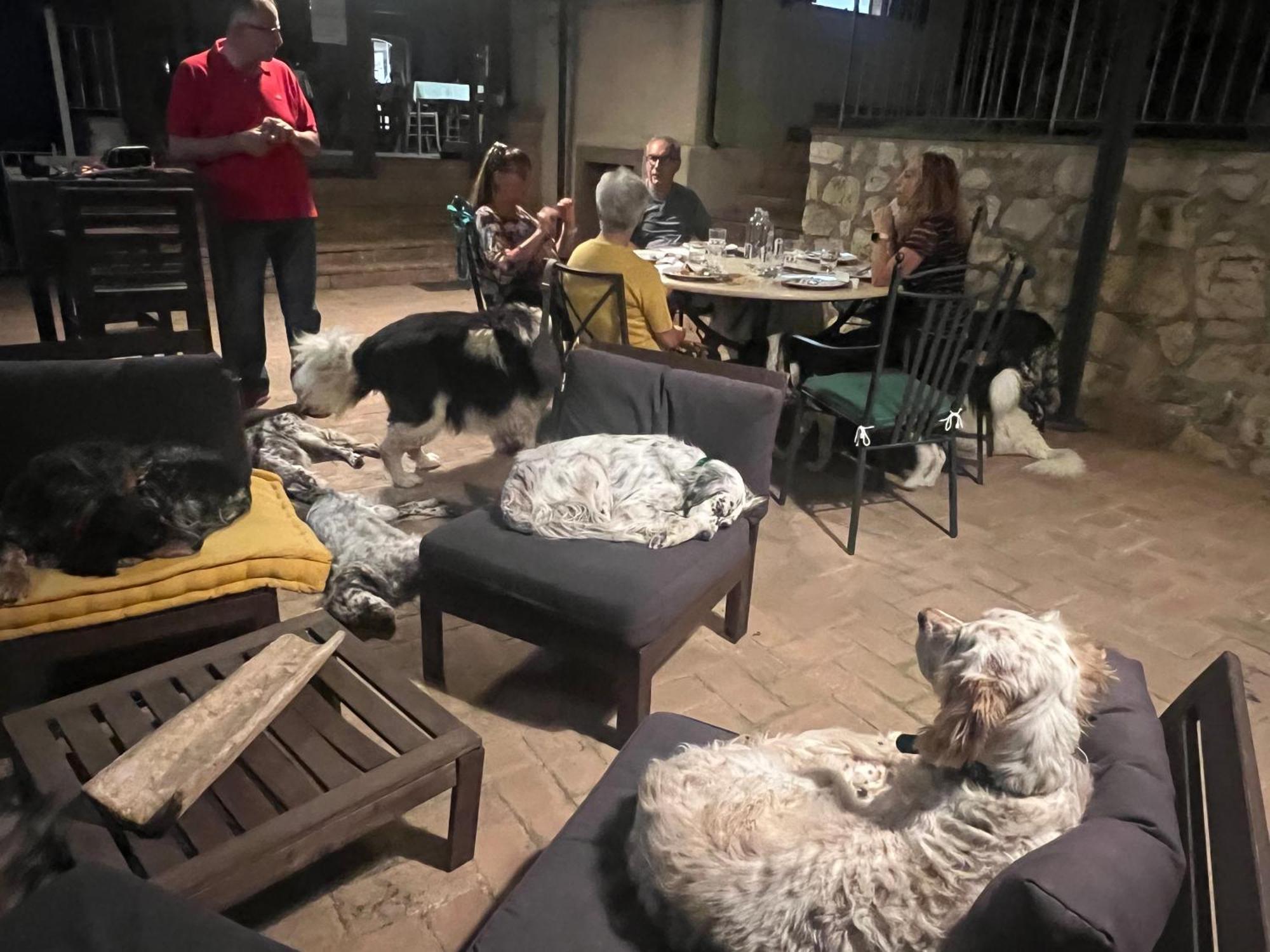 Setterhouseagrihotel Trevi Kültér fotó