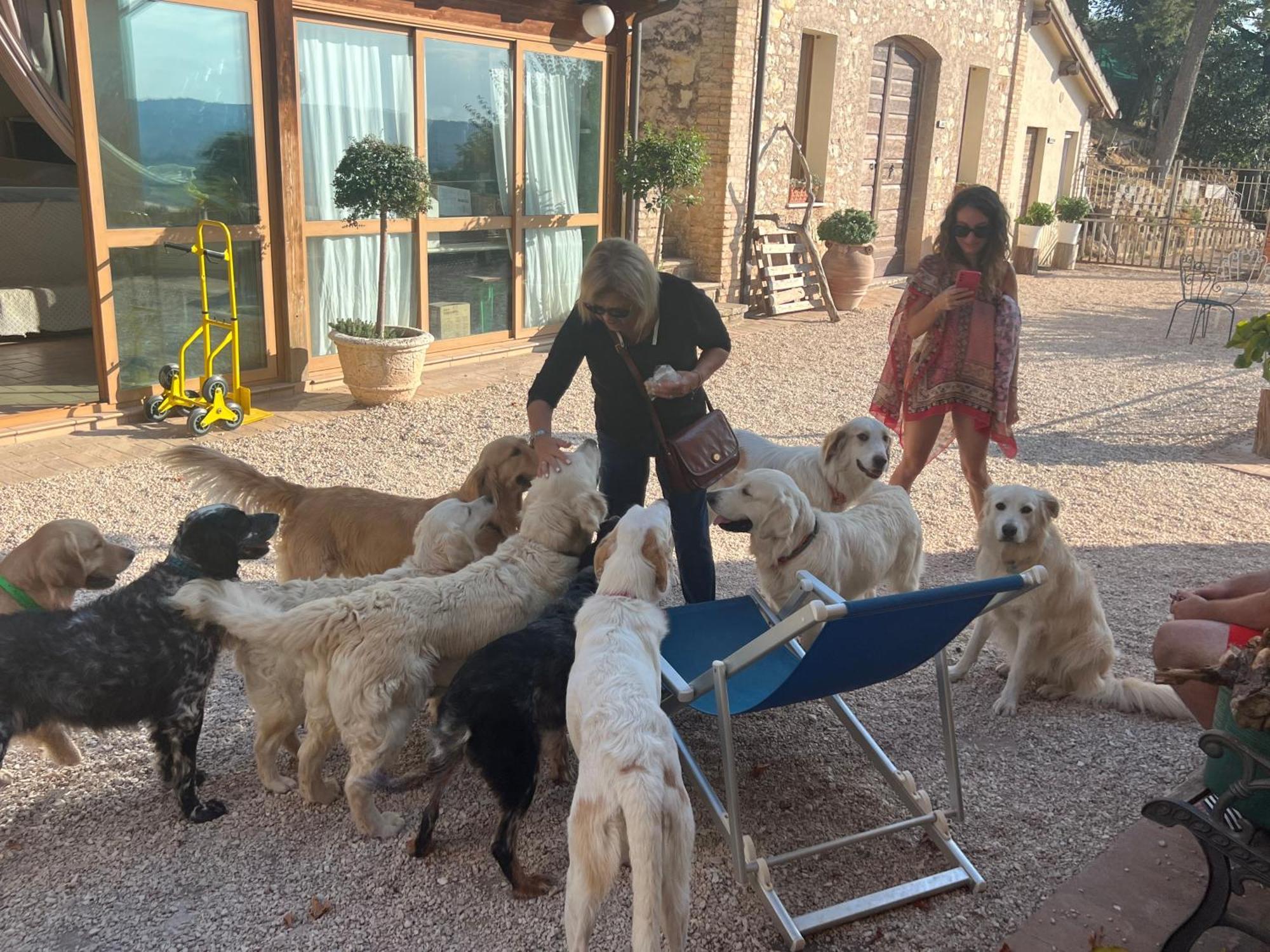 Setterhouseagrihotel Trevi Kültér fotó