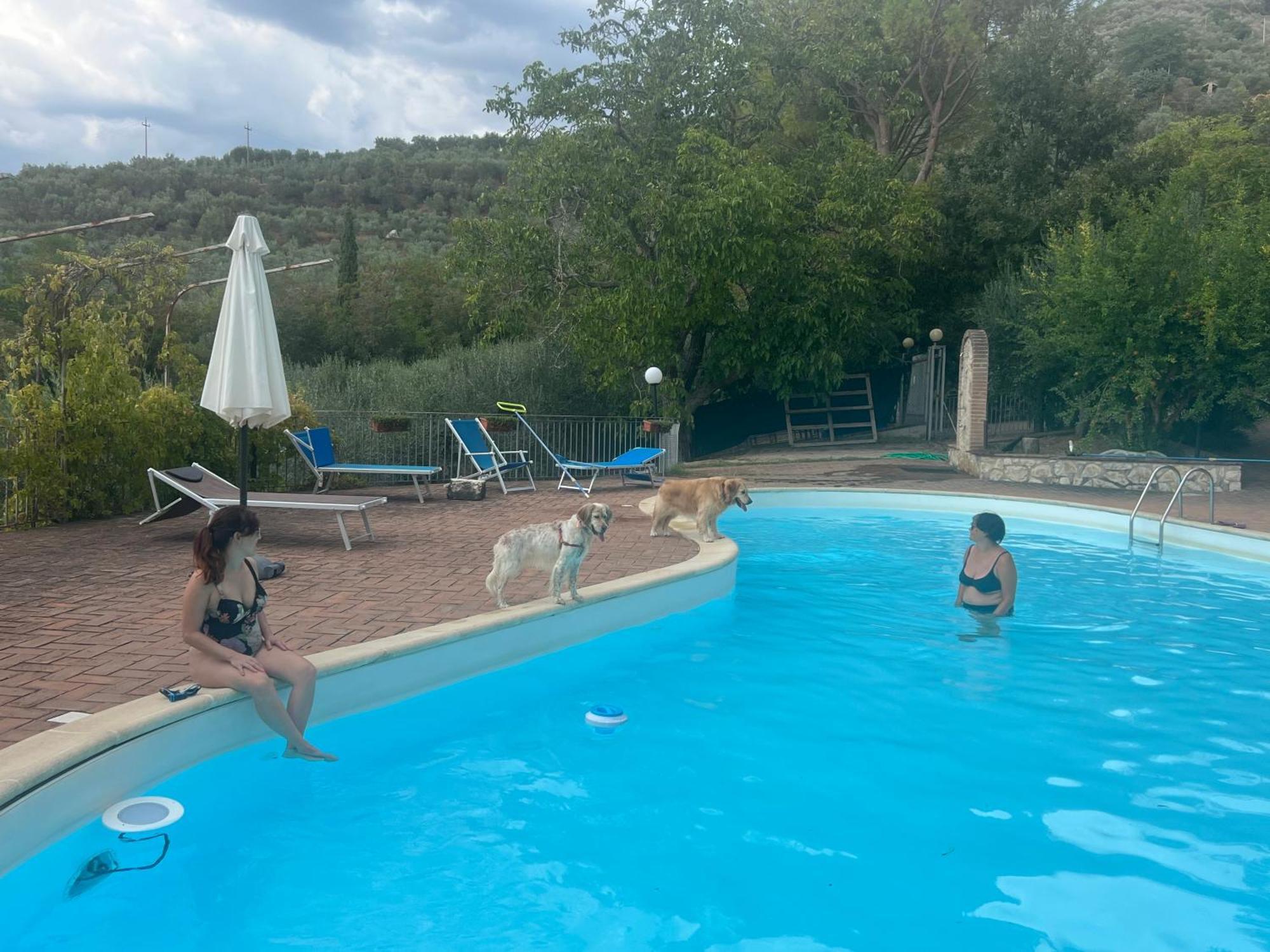 Setterhouseagrihotel Trevi Kültér fotó